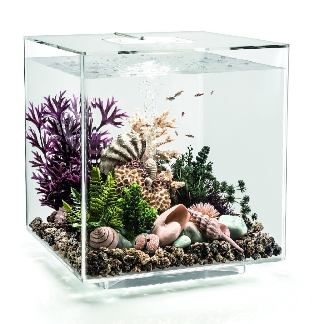 Декор аквариума