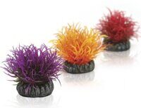 Набор из 3-х цветных водных шаров (Aquatic color ball set 3)