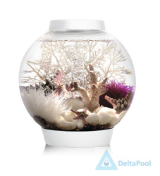 white_aqoarium.png