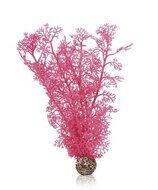 Розовый морской веер (средний) Sea fan medium pink