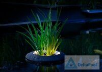 Floating Plant Light