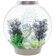 Коралл белый  (Fan coral ornament white)