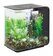 Набор декоративных растений Feather fern set small green