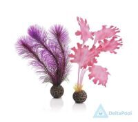Набор "Малая розовая ламинария"  Kelp set small pink