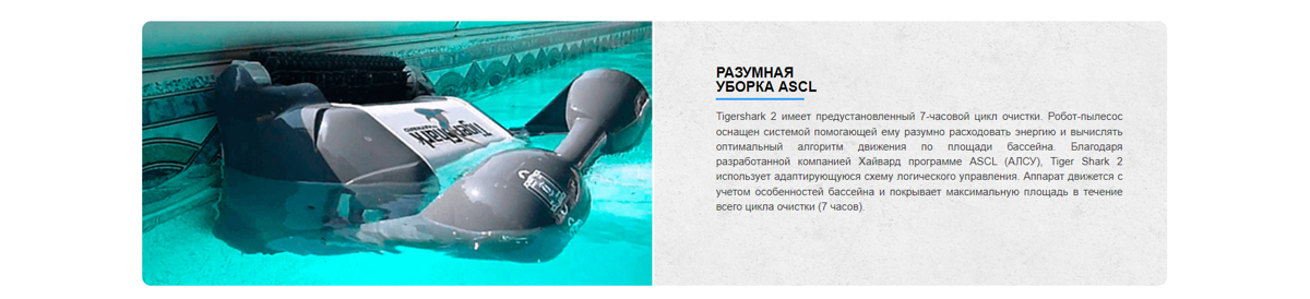 3shark.png