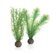 Набор декоративных растений Feather fern set small green