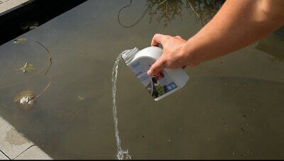 pondclear_oase_deltapool.jpg